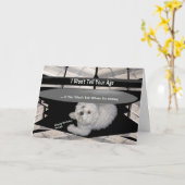 Maltees Onder de tafel Verjaardag Humor Kaart (Gele Bloem)