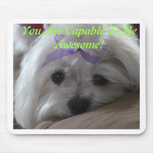 Maltees ontworpen dingen muismat (Voorkant)