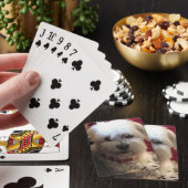 Maltees op speelkaarten (Insitu)