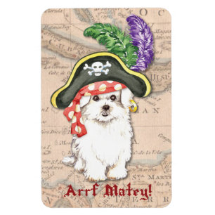 Maltees Pirate Magneet