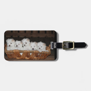 Maltees, Puppies, mandje, "Vijf Puppies", wit Bagagelabel