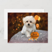 Maltees Puppy Celebrates Halloween Briefkaart (Voorkant / Achterkant)