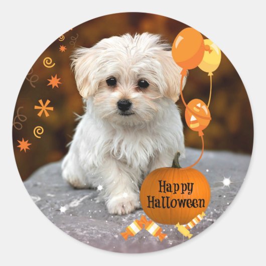 Maltees Puppy Celebrates Halloween Ronde Sticker (Voorkant)
