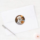 Maltees Puppy Celebrates Halloween Ronde Sticker (Envelop)