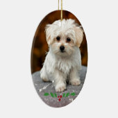 Maltees puppy Ceramic Ornament (Rechts)