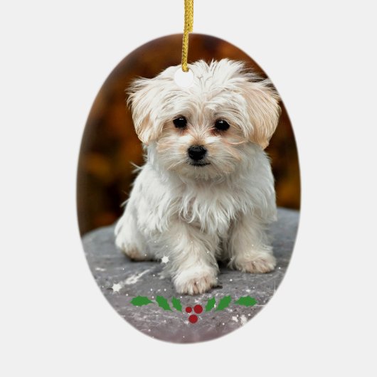 Maltees puppy Ceramic Ornament (Voorkant)