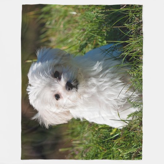 MALTEES PUPPY FLEECE DEKEN (Voorkant)