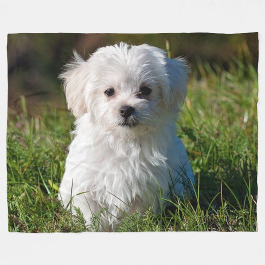 MALTEES PUPPY FLEECE DEKEN (Voorkant (Horizontaal))