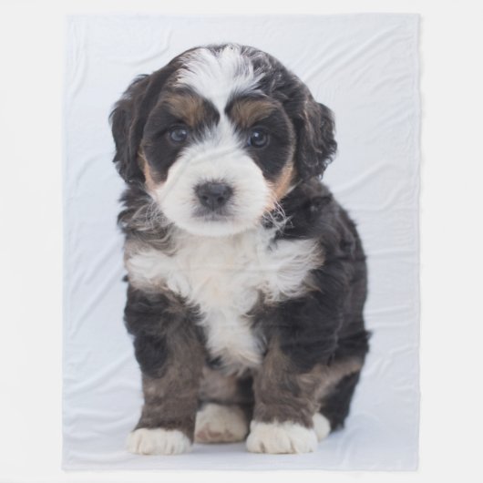 MALTEES PUPPY FLEECE DEKEN (Voorkant)