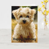 Maltees Puppy Happy Birthday Wenskaart Kaart (Gele Bloem)