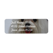 Maltees puppy Mailing Labels (Voorkant)