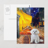 Maltees (R) - Terras Cafe Briefkaart (Voorkant / Achterkant)