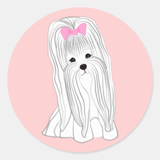 Maltees Ronde Sticker (Voorkant)