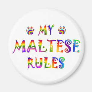 Maltees Rules Fun Magneet