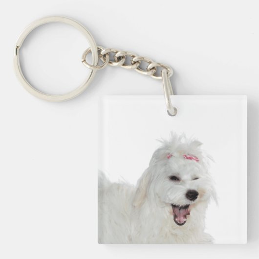 Maltees Schattige pluizig wit lili Sleutelhanger (voorkant)