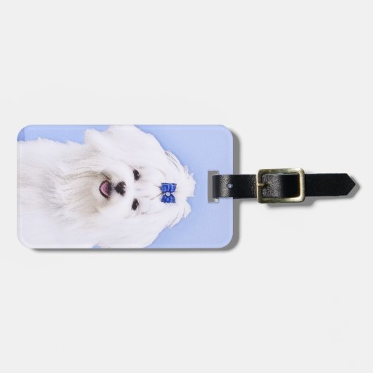 Maltees schilderen - Kute Original Dog Art Bagagelabel (Voorkant horizontaal)