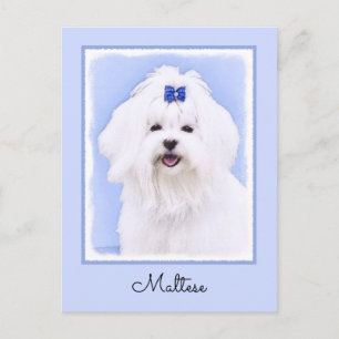 Maltees schilderen - Kute Original Dog Art Briefkaart