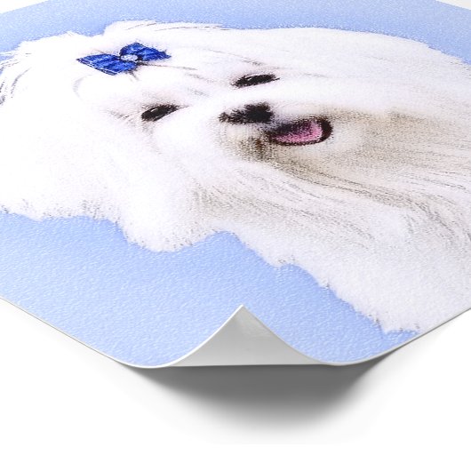 Maltees schilderen - Kute Original Dog Art Poster (Hoek)