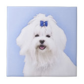 Maltees schilderen - Kute Original Dog Art Tegeltje (Voorkant)