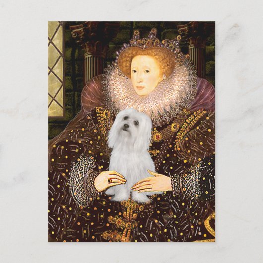 Maltees (SD) - Koningin Briefkaart (Voorkant)