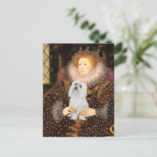 Maltees (SD) - Queen Briefkaart (Staand voorkant)