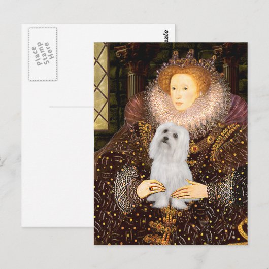 Maltees (SD) - Queen Briefkaart (Voorkant / Achterkant)