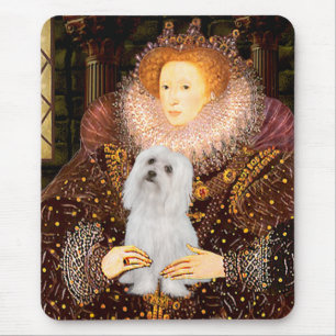 Maltees (SD) - Queen Muismat