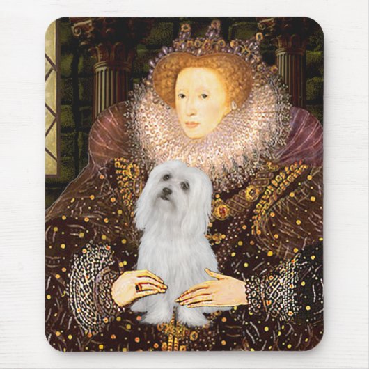 Maltees (SD) - Queen Muismat (Voorkant)