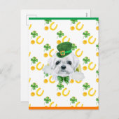 Maltees Shamrock St. Patricks Day Feestdagenkaart (Voorkant / Achterkant)