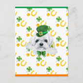 Maltees Shamrock St. Patricks Day Feestdagenkaart (Voorkant)