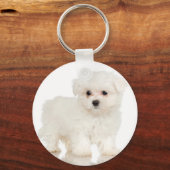 Maltees Sleutelhanger (Voorkant)