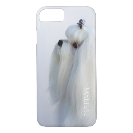 Maltees telefoongeval Case-Mate iPhone case (Achterkant)