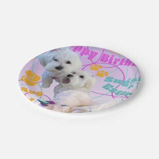 Maltees Twins Bord (Gekanteld)