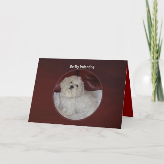 Maltees Valentijn - u hebt Mijn Kaart van het Hart (Voorkant)