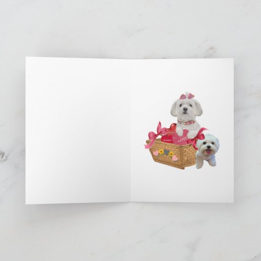 Maltees zijn mijn Valentijn Kaarten (Binnen)