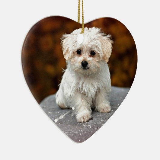 Malteese papaverij, schattig en knuffel keramisch ornament (Rechts)