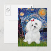 Maltese 8 pup - Sterrennacht Briefkaart (Voorkant / Achterkant)