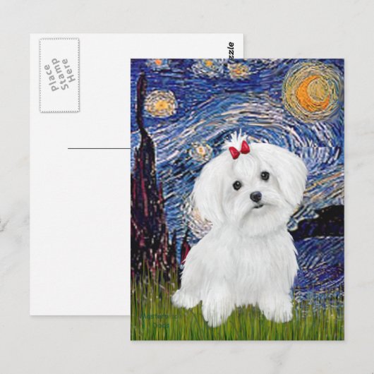 Maltese 8 pup - Sterrennacht Briefkaart (Voorkant / Achterkant)