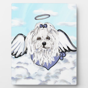 Maltese Angel Fotoplaat