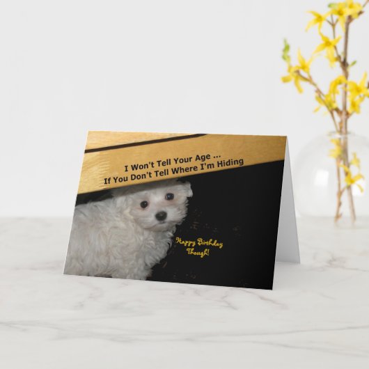 Maltese Bericht Verjaardag Kaart (Gele Bloem)