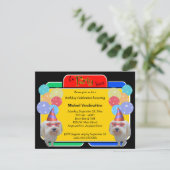 Maltese Birthday Barker Kaart (Staand voorkant)