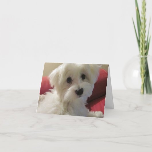 Maltese briefkaarten (Voorkant)