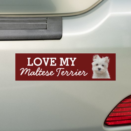 Maltese bumpersticker (Op auto)