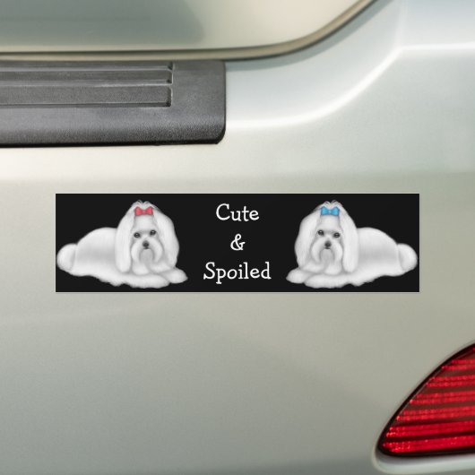 Maltese Bumpersticker (Op auto)