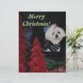 Maltese Christmas Custom Briefhoofd (Staand voorkant)