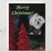 Maltese Christmas Custom Briefhoofd (Voorkant / Achterkant)