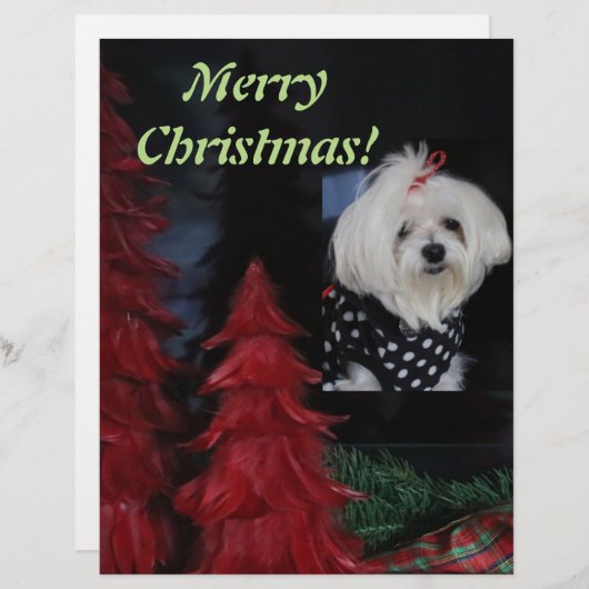 Maltese Christmas Custom Briefhoofd (Voorkant / Achterkant)
