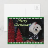 Maltese Christmas Feestdagenkaart (Voorkant / Achterkant)