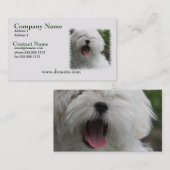 Maltese Dog Business Card Visitekaartje (Voorkant / Achterkant)