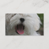 Maltese Dog Business Card Visitekaartje (Achterkant)